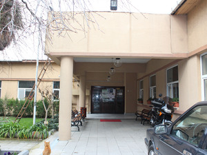IMG_3136.jpg