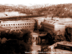 egli_botanikanabilimdalı.jpg