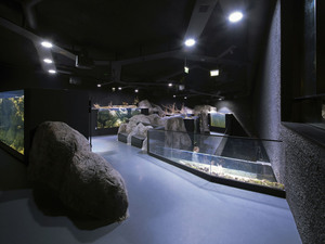 3LHD_224_Karlovac_Aquarium_photo_by_Jure_Zivkovic_14.jpg