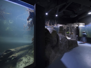 3LHD_224_Karlovac_Aquarium_photo_by_Jure_Zivkovic_17.jpg
