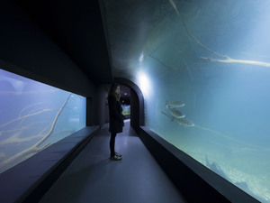 3LHD_224_Karlovac_Aquarium_photo_by_Jure_Zivkovic_22.jpg