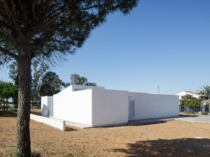 8800_02.jpg