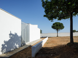 8800_05.jpg