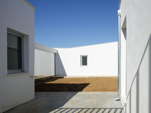 8800_12.jpg