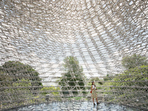 JE_KEW_HIVE_150616_0289.jpg