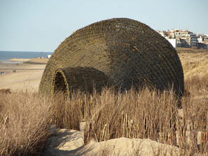 10_Sandworm_Marco Casagrande_2012_081.jpg
