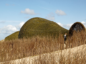 13_Sandworm_Marco Casagrande_2012_100.jpg