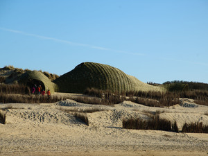 15_Sandworm_Marco Casagrande_2012_112.jpg