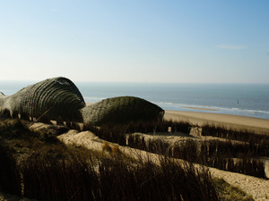 1_Sandworm_Marco Casagrande_2012_003.jpg