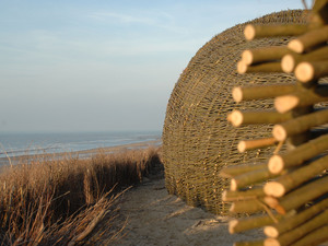 2_Sandworm_Marco Casagrande_2012_006.jpg