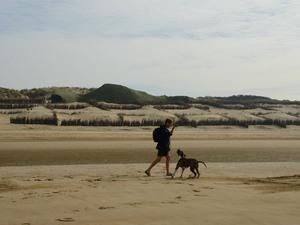 3_Sandworm_Marco Casagrande_2012_008.jpg