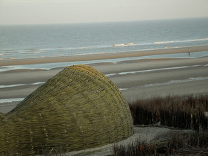 4_Sandworm_Marco Casagrande_2012_011.jpg