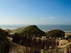 5_Sandworm_Marco Casagrande_2012_014.jpg