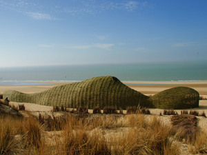 6_Sandworm_Marco Casagrande_2012_030.jpg