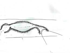 Dune_2_Casagrande.jpg
