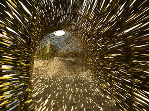 Sandworm_Marco Casagrande_2012_022.jpg