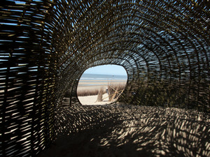 Sandworm_Marco Casagrande_2012_067.jpg