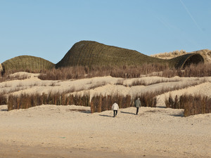 Sandworm_Marco Casagrande_2012_074.jpg