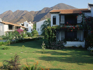 manset_aktur_datça.jpg