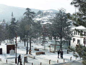 manset_taraklı.jpg