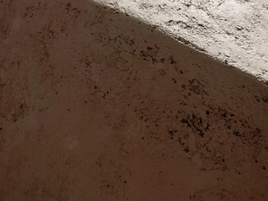 soroush majidi122000.jpg