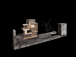 176 _Model concret 3.jpg