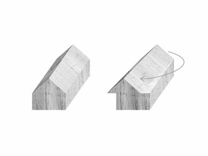 25. Shear House_Diagram 01_stpmj.jpg