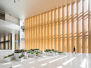 Shenzhen Energy Company