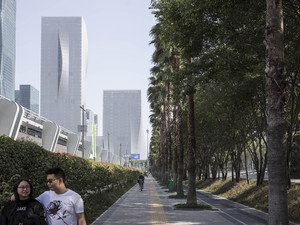 copyright_laurianghinitoiu_big_shenzhen-9668_original.jpg
