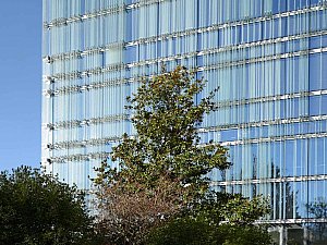 Société Privée de Gérance Merkez Binası