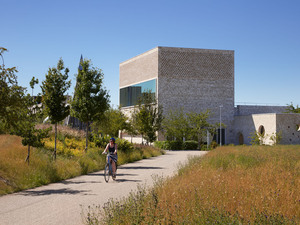 StoreysField_12_AWilliams.jpg