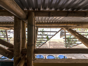 (c) nguyen Tien Thanh -  (13).jpg
