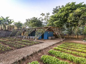 (c) nguyen Tien Thanh -  (19).jpg