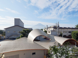 (C)Kenichi Suzuki_11.jpg