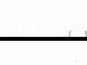Elevation Volontariat.jpg