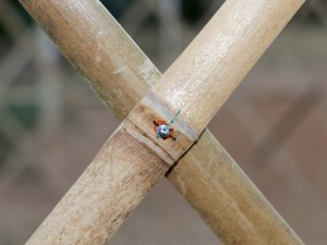 WW_IM_PH_V3.2_150526_Dorze_Detail-Knot_IMG_0259_5472x3648_AV.jpg