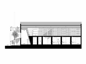 Section-c2000.jpg