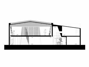 Section-e2000.jpg