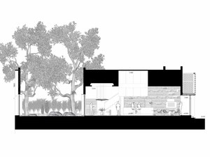 Section-f2000.jpg