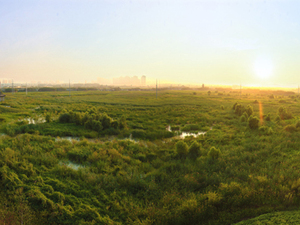 Qunli01.jpg