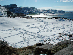REalscale_snow_resize.jpg