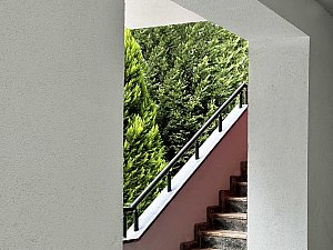 v 06