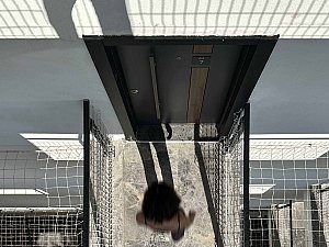 v 07