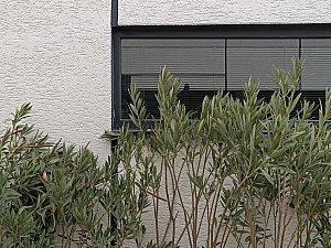villaduo 13