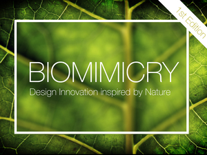 biomimikri.jpg