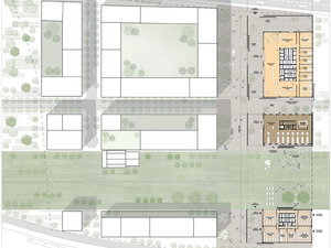 Erik-Giudice-Architects