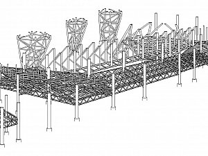celik axon_03b.jpg