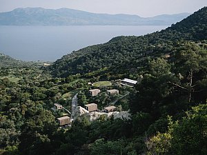 arazifoto3.jpg