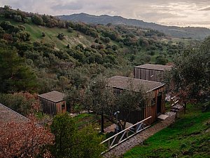arazifoto9.jpg