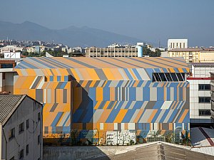 IMG 8443-1